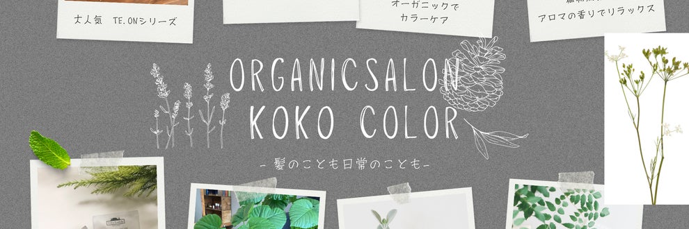 koko colorの画像
