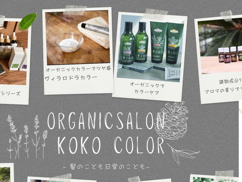 koko colorの画像
